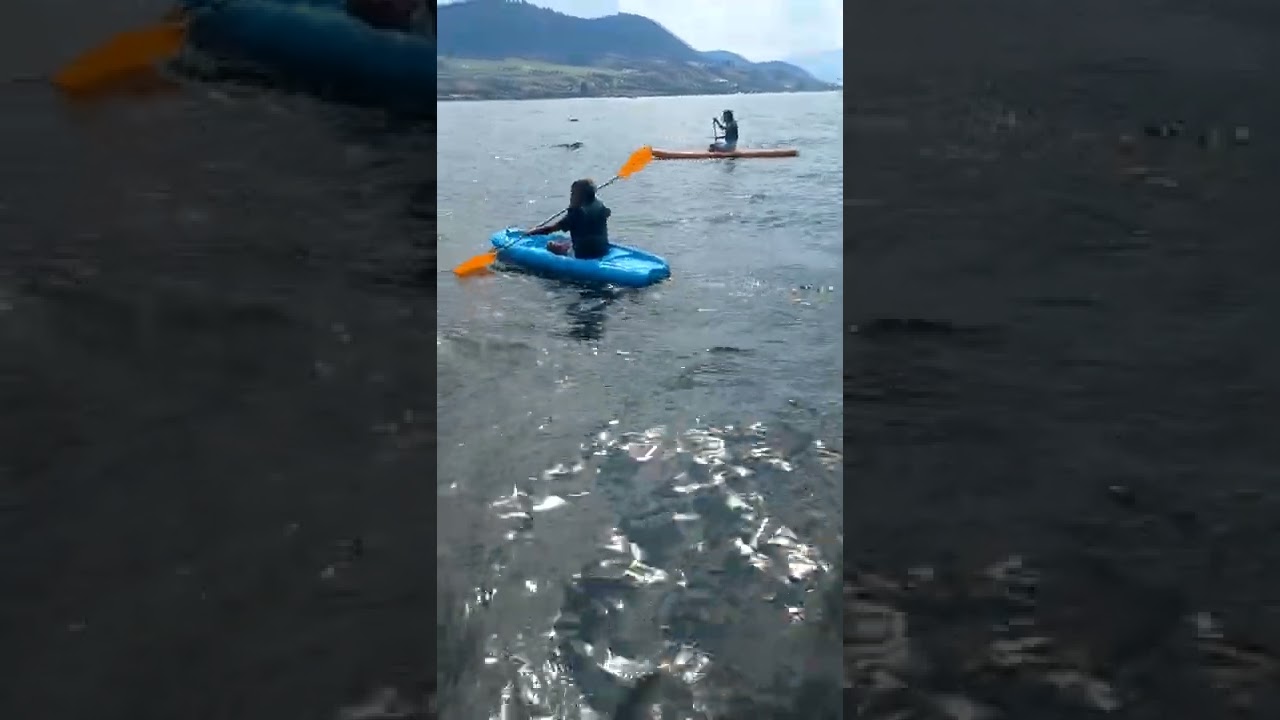 August 2022 Kal Beach Vernon