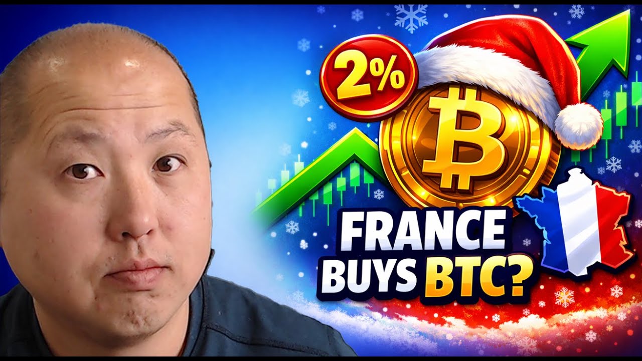 Франция хочет получить 2% биткоинов? | Скоро рождественский митинг?!