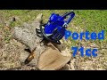 Glad to be Back!! Holzfforma G444! Test cuts, Stihl 440 clone