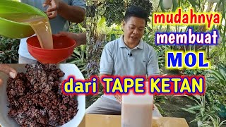 Cara Mudah Membuat MOL Dari Tape Ketan