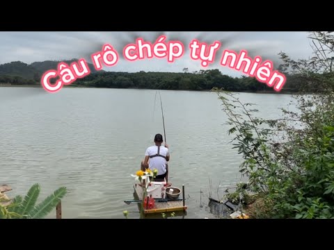 Câu Rô Chép Tự Nhiên!!