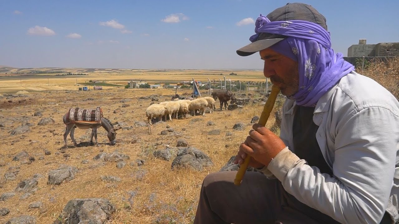 ÇOBAN HALİL ÖZBAY, KAVAL SESİ