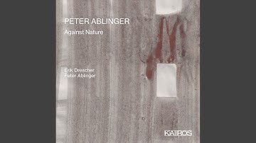 Consideration 19 / Überlegung 19 (1988) for Flute: II.