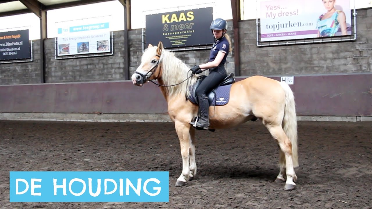 De juiste houding tijdens het paardrijden - YouTube