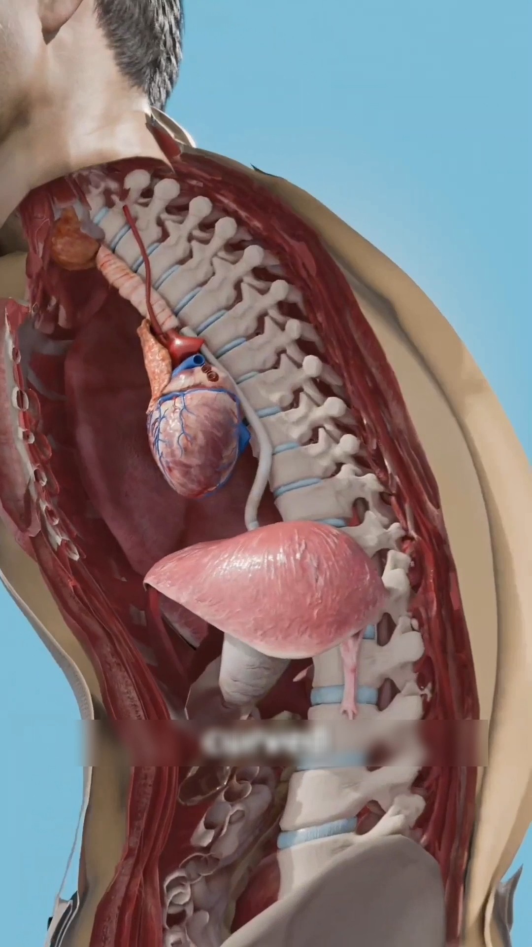 MV] A-THUG /ひつようさProd. DJ MUNARI, PRAWDUK - YouTube