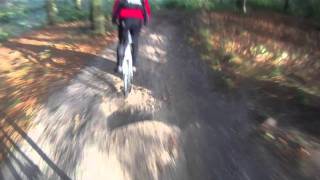 MTB i Skoven