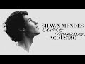 Shawn Mendes - Can&#39;t Imagine (Acoustic)