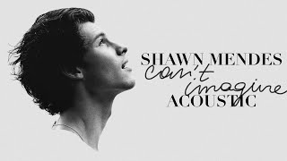 Shawn Mendes - Can't Imagine (Acoustic) Resimi