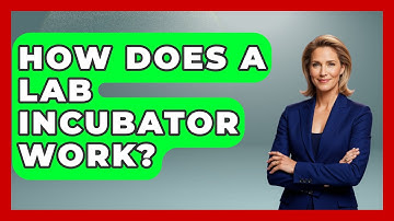 How Does a Lab Incubator Work? - Biology For Everyone