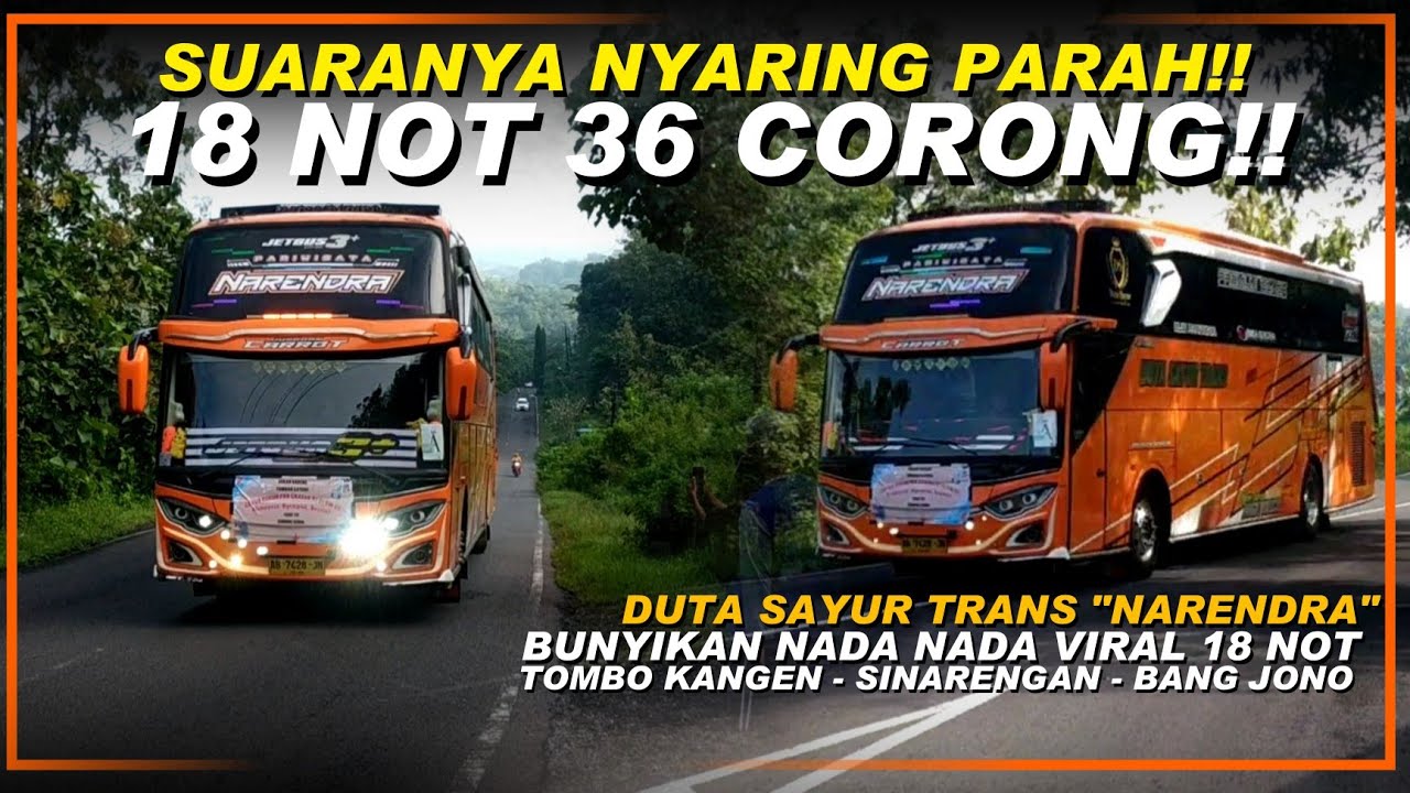 SUARANYA NYARING PARAH‼️ NGOYOD DUTA SAYUR TRANS 