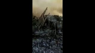 ClickO on the Go: Remembering Sept. 11, 2001; student takes bearded dragon to school
