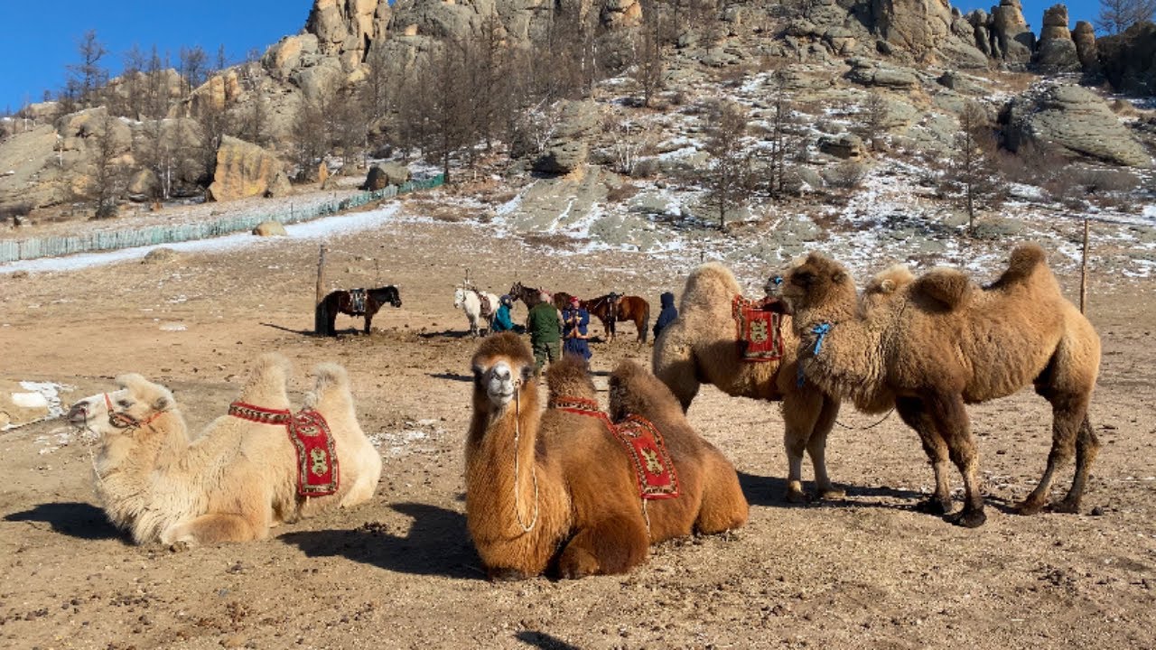 ULAN BATUR’UN EN ETKİLEYİCİ YERLERİ 🇲🇳 | Cengiz Han Heykeli & Gorkhi Terelj Ulusal Parkı