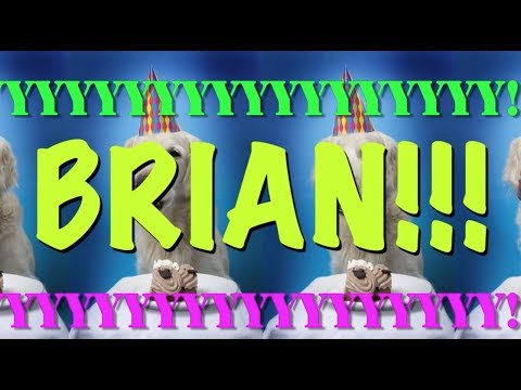 happy-birthday-brian!---epic-happy-birthday-song
