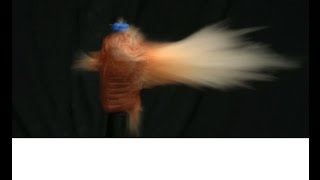Tomato Juice Bottle Exploding   Slow Motion HD