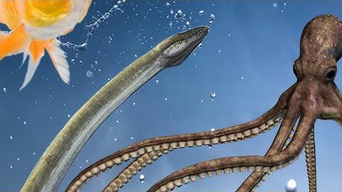 Getting the sea monsters badge in shark RP thing