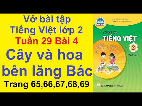 Video Vở Bài Tập Tiếng Việt lớp 2 Chân Trời Sáng Tạo Tuần 29... - youtube