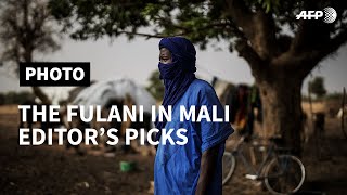 SPECIAL REPORT - PART II: The Fulani in Mali I AFP