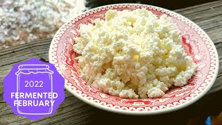 EASIEST Homemade OneIngredient Cottage Cheese!   @FermentedHomestead