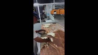 Download Lagu 🔴Live MP3