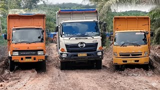 Dilarang Baper ‼️ Baru Kali Ini Truk Terkuat Dibumi Fuso Fighter Jadi Ayam Sayur Dihadapan Hino 500