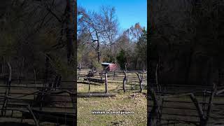 Rural 6.59 Acres in Red River County, TX – Unrestricted – 37 miles from Paris, TX – Reel