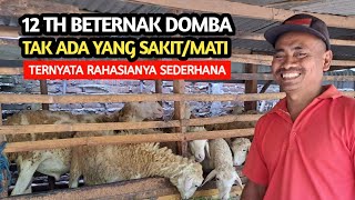 12 Years Of Sheep Farming No Illness Or Death  agrotv9