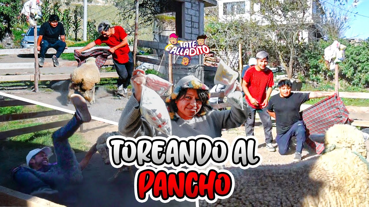 UN BORREGO Y TRES CACHUDOS EN UN CORRAl | Tate Calladito ft. Rommel Racp - Elvia Maji |