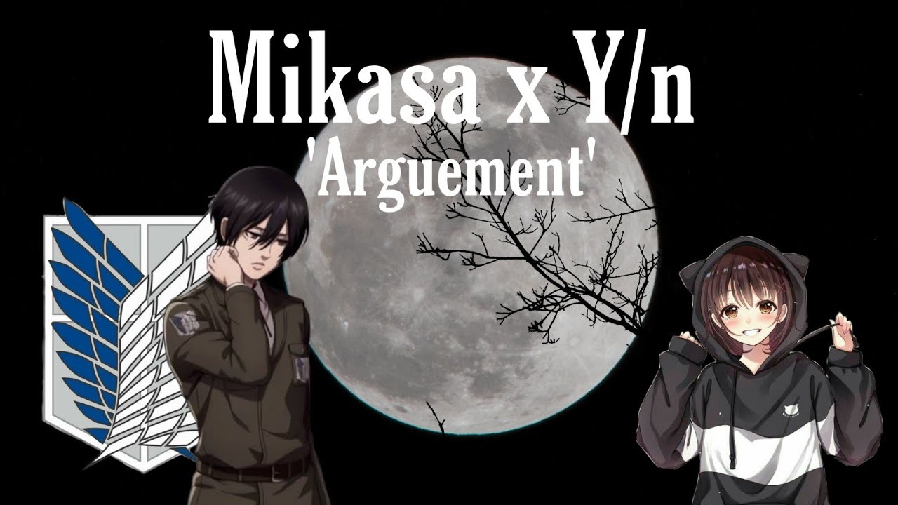 Mikasa x Y/n | AoT Texts | 'Arguement'