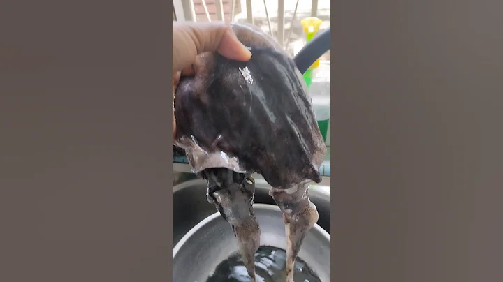 fresh big squid ready to cook #calamarirecipe #short #shorts #youtubeshort #youtubeshorts