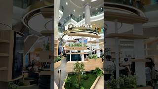 Matchaya Emporium #matchalatte #cafehopping  #youtubeshorts #foodielife 🍵✨