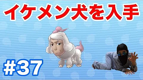 妖怪ウォッチ イケメン犬