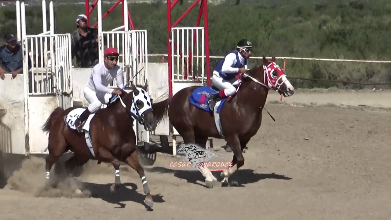 EL COPITA VS EL APACHE - YouTube