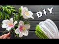 DIY Craft Ideas! How to Make Flower from Chenille Stems Pipe Cleaner Flowers Ideas