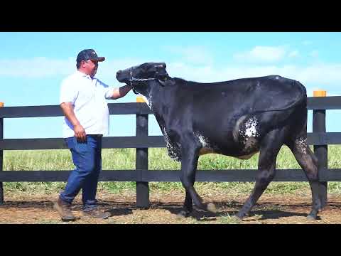 LOTE 27 1758 CU
