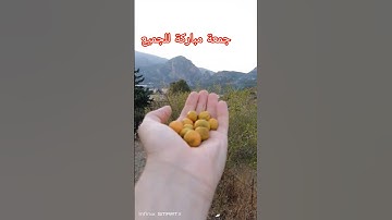جمعة مباركة للجميع #سورة_الكهف