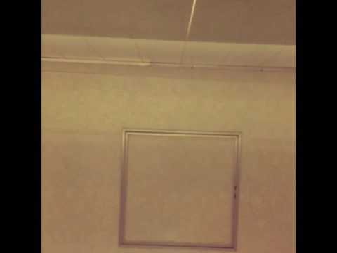 거짓말 - god(콕스cover)