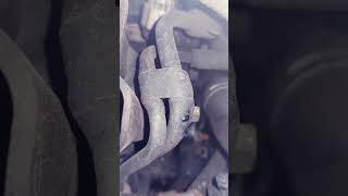 #kia #sorento coolant leak from thermostat housing #kia #sorento coolant leak from thermostat housing