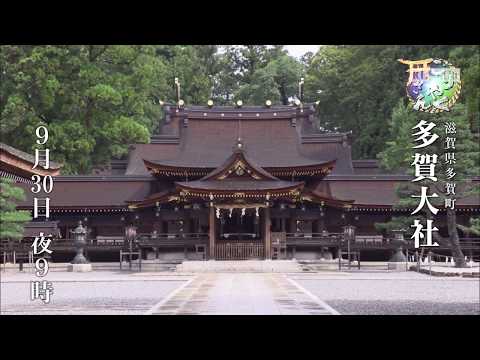 ご利益 神社 京都