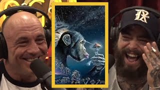 JRE: "Have You Ever Heard of The Stoned Ape Theory?"