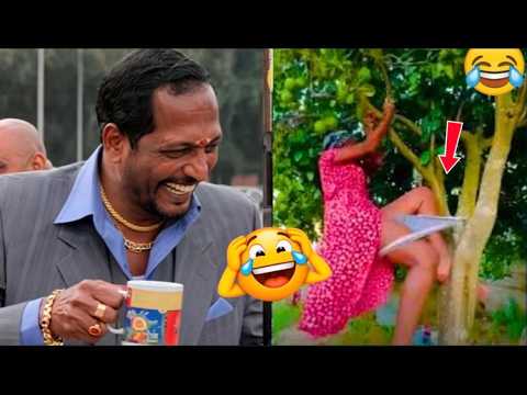 The most funniest videos in the world, part 2