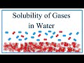 Gas Solubility and Molecular Interactions