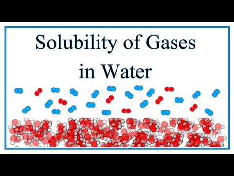 Solubility of Gases in Water (O2, N2, etc.)