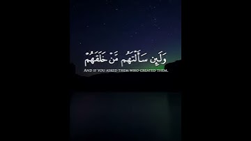 مشاري العفاسي تلاوة تريح القلوب   🌸❤ حالات واتس اب قرآن 💭💗