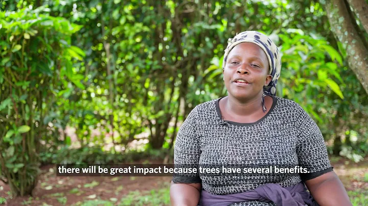 Celebrating 250 million trees planted!