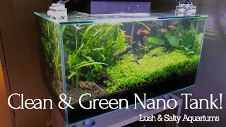 Fluval Edge Aquarium: freshly cleaned and emerald clean!