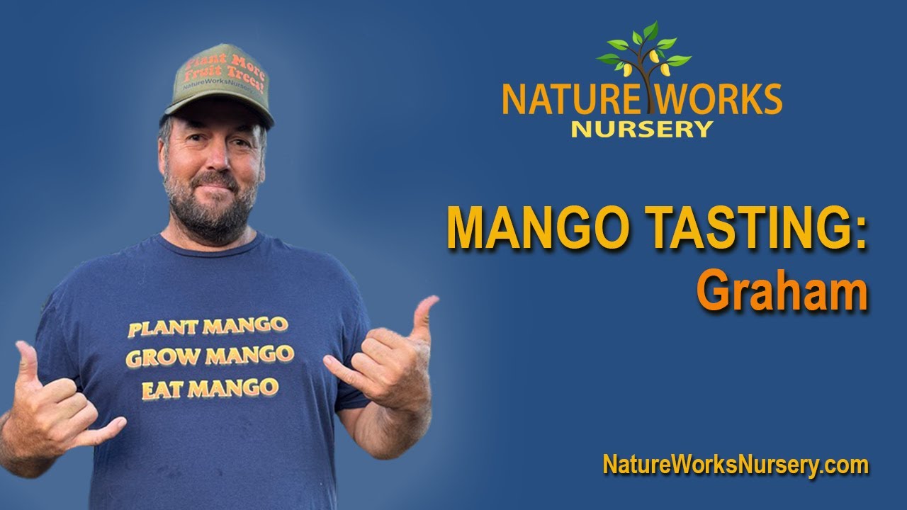 Mango Tasting: Graham