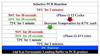 Selective PCR Amplification of AFLP Marker