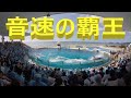 鴨川シーワールド２０２２　シャチパフォーマンス１２２２　音速の覇王