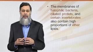 BIO202 Topic143