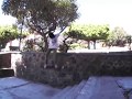 Egiie botello guerrero totem skateboarding los espacios otros